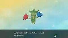 How to evolve Budew in Pokémon Legends Arceus