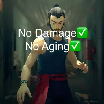 Player beats Sifu without taking damage or ageing