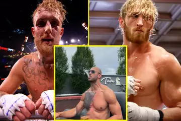 Is Andrew Tate's Boxing Fight With Jake And Logan Paul Confirmed?