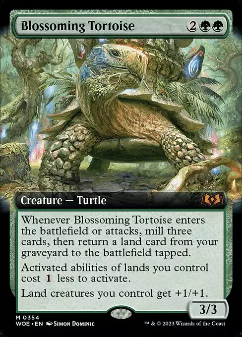 woe-354-blossoming-tortoise