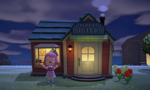 Animal Crossing Nooks cranny how to download skins and outfits for animal crossing?