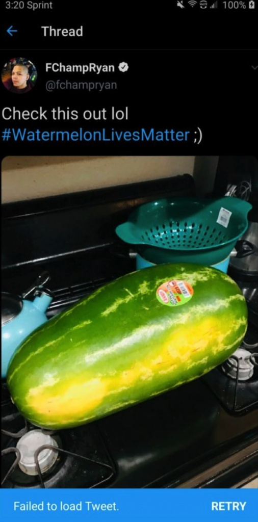 FChamp watermelon tweet
