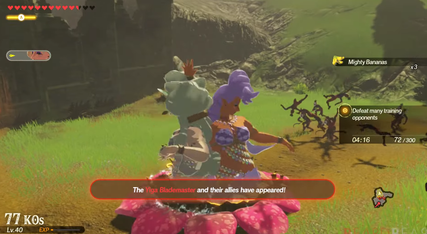 Hyrule Warriors Fairy Guide - My Fairy System Full Guide Hyrule