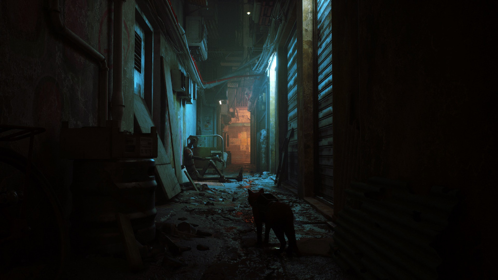 stray 2022 download