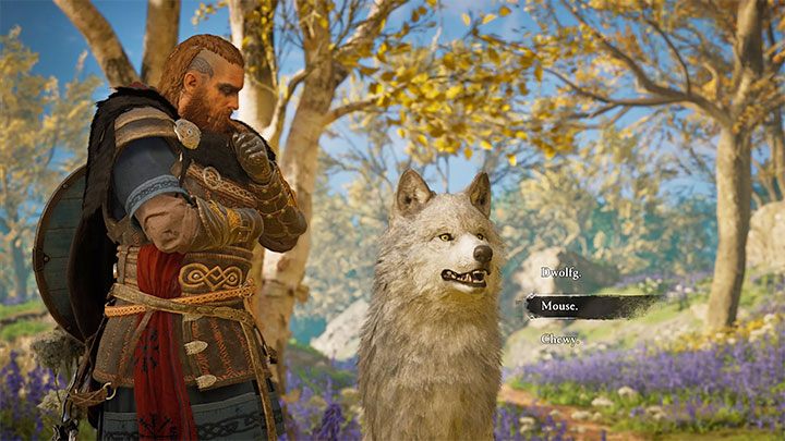 Wolf Companion Assassin's Creed Valhalla