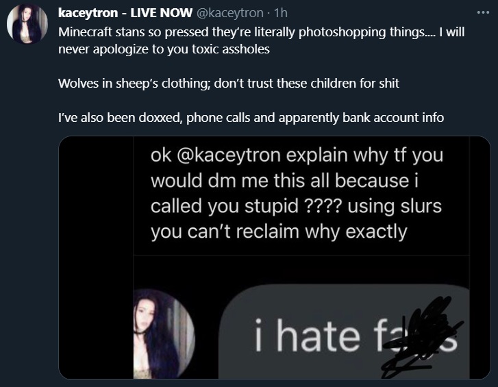 Kaceytron twitch youtube harassment minecraft stans gay-baiting