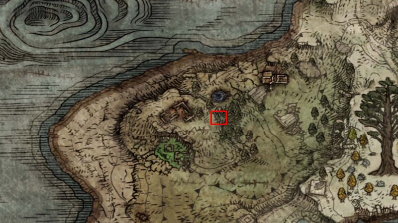 Location of Anciet Hero Zamor in Weeping Evergoal