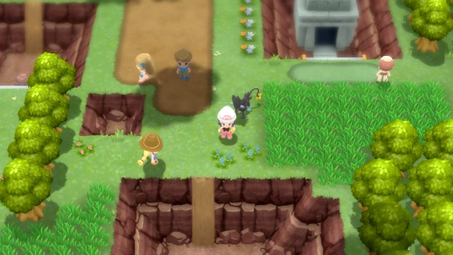 Rare Candies can be found in several locations. (Picture: Game Freak)