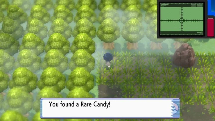 Rare Candies level up a Pokémon one level. (Picture: Game Freak)