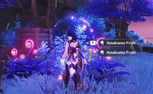 Genshin Impact 2.1 Amakumo fruit all locations Seirai Island Raiden Shogun Baal ascension material