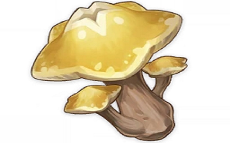 Genshin Impact 2.6 new item starshroom locations effect healing
