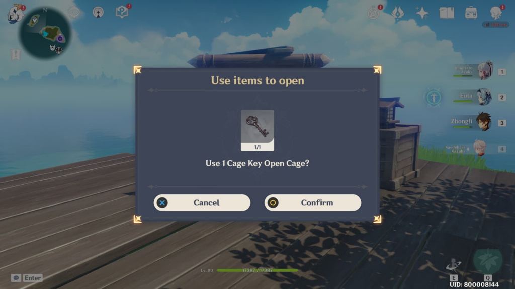 cage key the farmers treasure