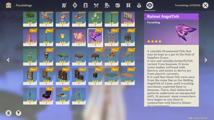 Genshin Impact Raimei Angelfish inventory