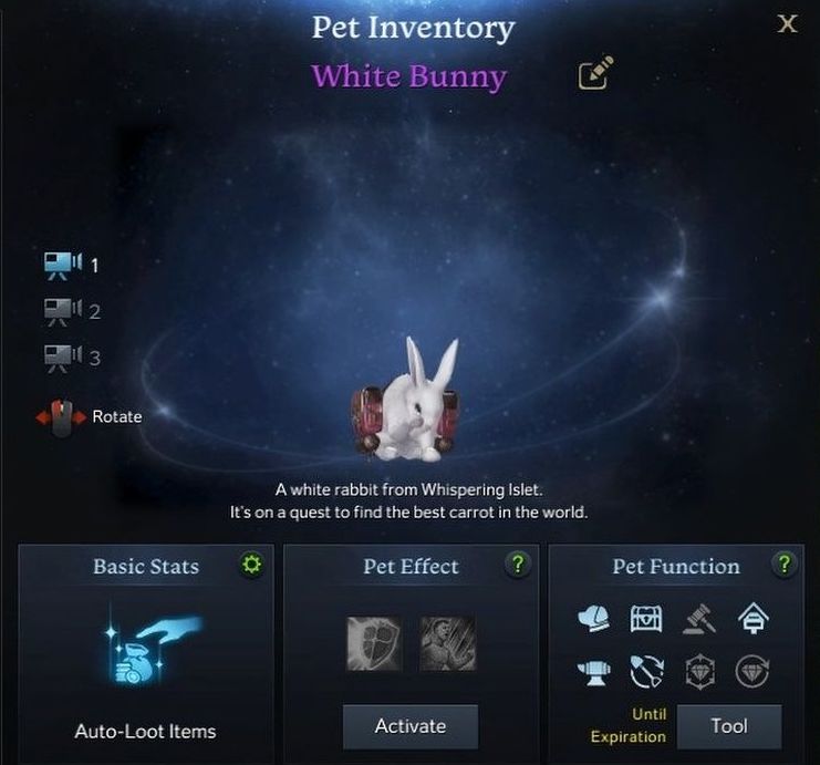 Lost Ark White Bunny Pet