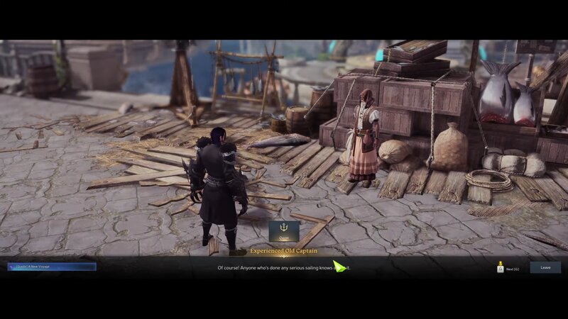 Speak to the Experienced Old Captain to be directed towards Wisdom Isle.