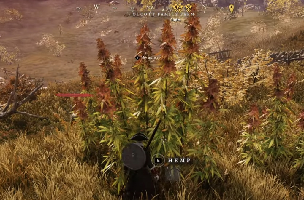 Where to find Fibers in New World hemp