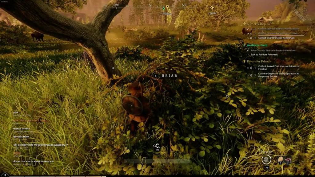 briar branches location where to find New World