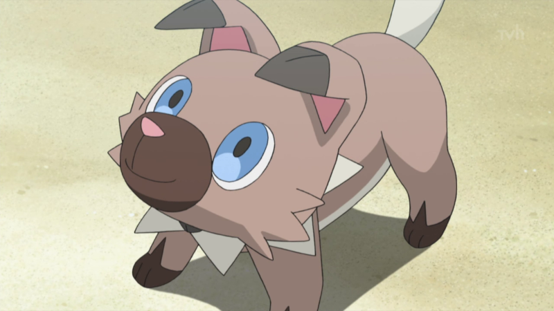 how to get rockruff pokemon go guide