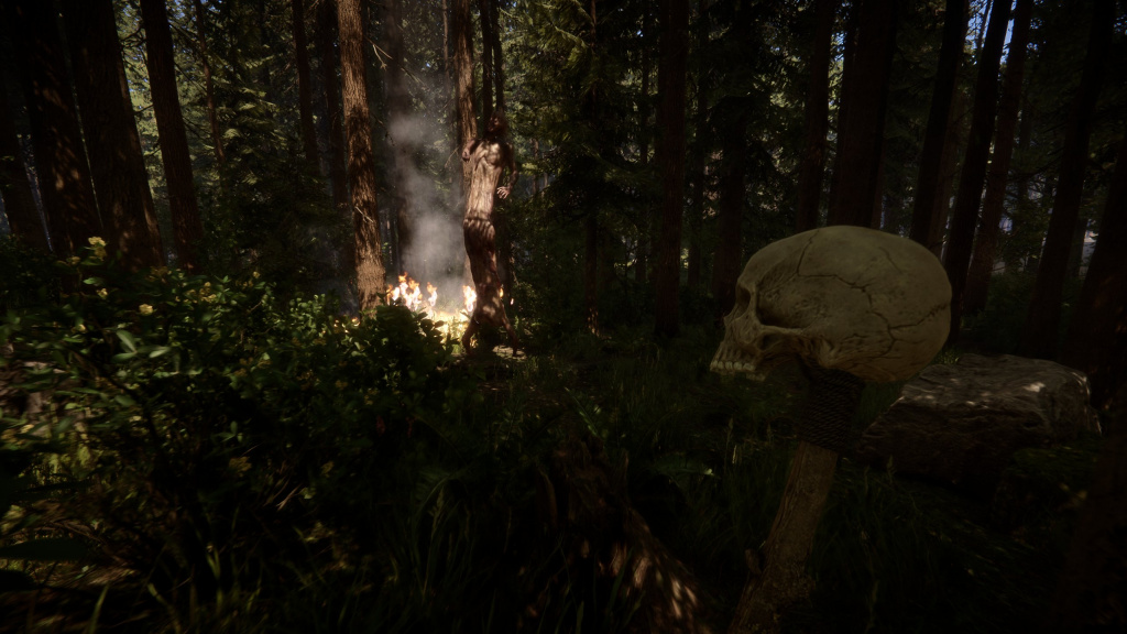 Sons of the Forest skull and fire