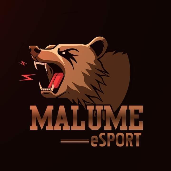 malumes playground family playing centre esports team plans