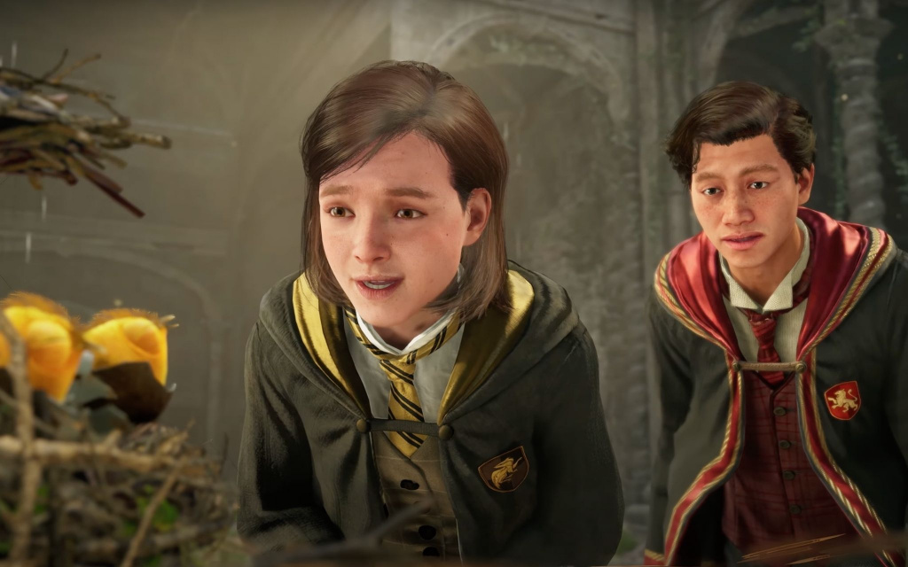 hogwarts legacy companions