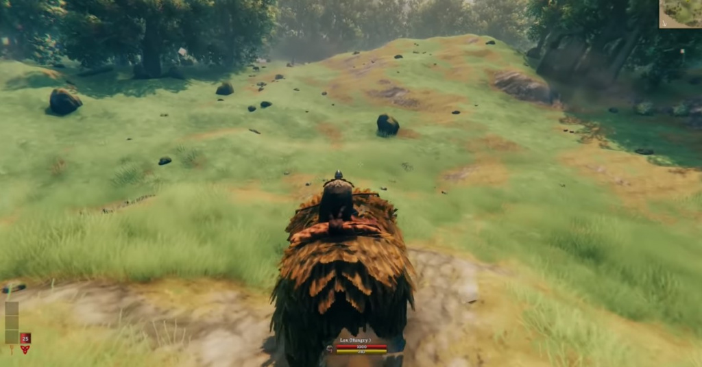 Riding lox valheim